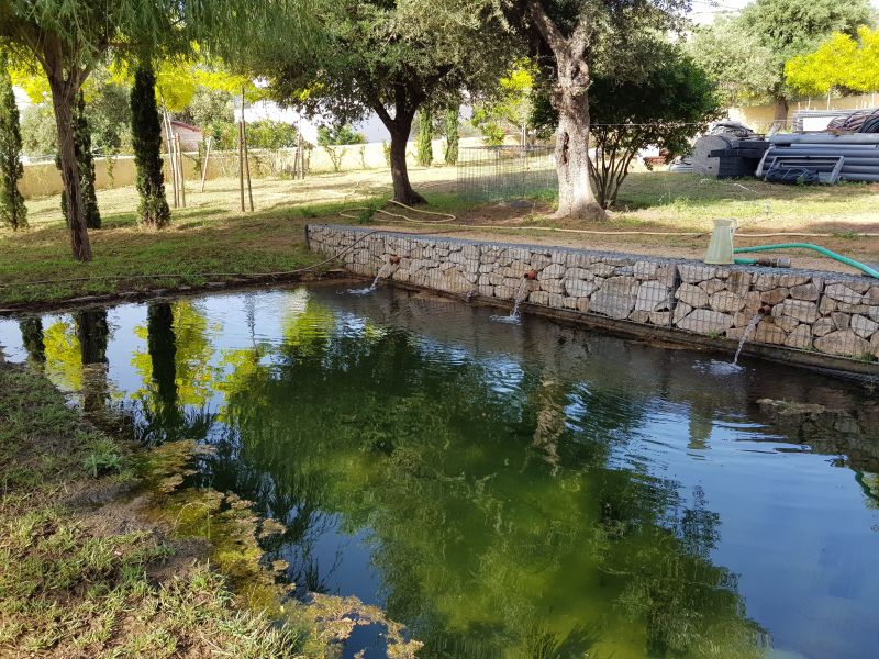 foto 8 Aluguer de férias entre particulares Calvi maison Córsega Alta Córsega