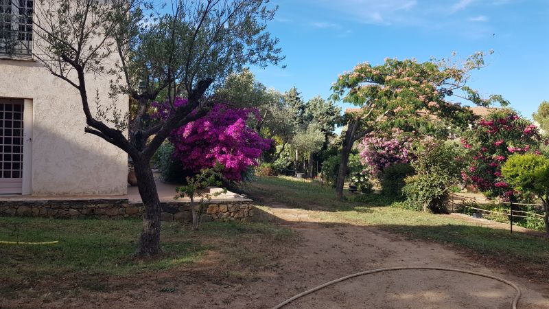 foto 9 Aluguer de férias entre particulares Calvi maison Córsega Alta Córsega