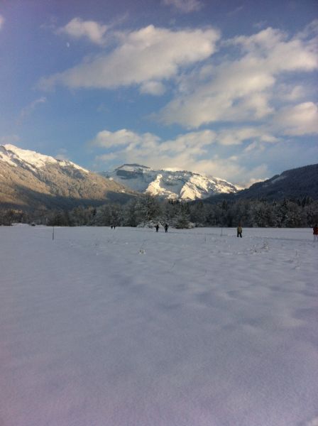 foto 7 Aluguer de frias entre particulares Morillon Grand Massif studio Rdano-Alpes Alta Sabia Outras