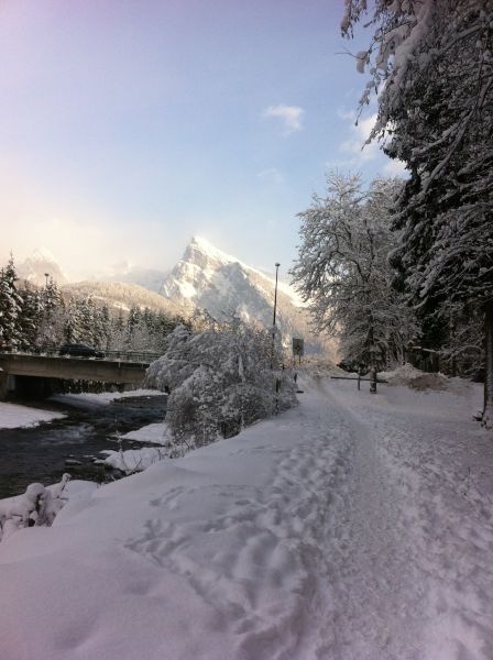 foto 9 Aluguer de frias entre particulares Morillon Grand Massif studio Rdano-Alpes Alta Sabia Outras