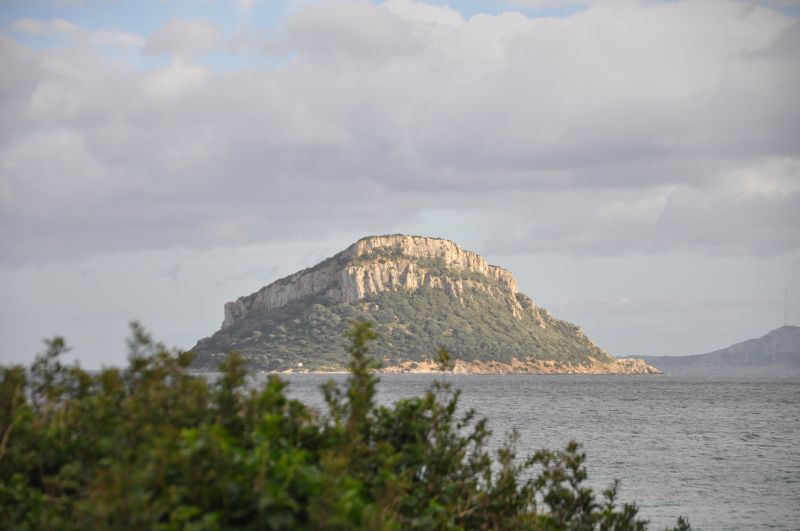 foto 12 Aluguer de férias entre particulares Golfo Aranci appartement Sardenha Olbia Tempio (província de)