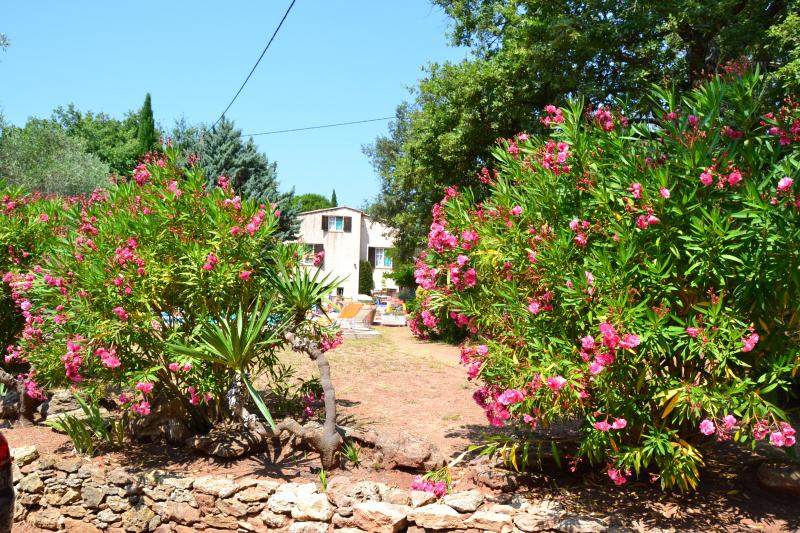 foto 11 Aluguer de frias entre particulares Frjus appartement Provena-Alpes-Costa Azul Var Vista exterior do alojamento