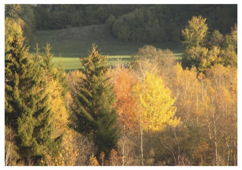 foto 4 Aluguer de frias entre particulares Fort-du-Plasne gite Franche-Comt Jura