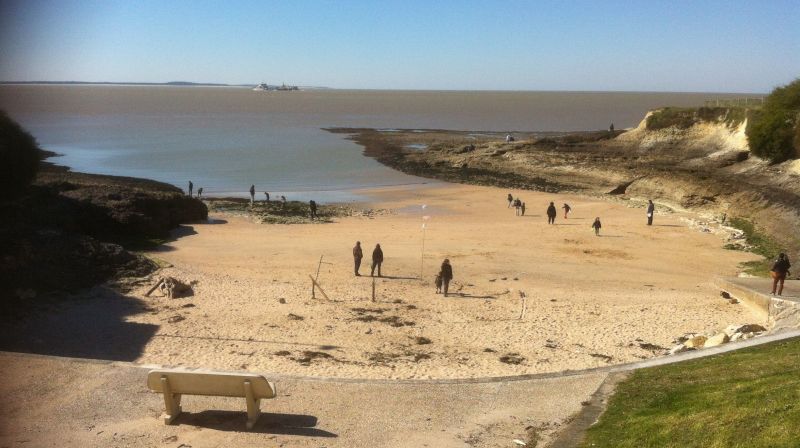 foto 1 Aluguer de frias entre particulares Vaux sur Mer villa Poitou-Charentes Charente-Maritime Praia