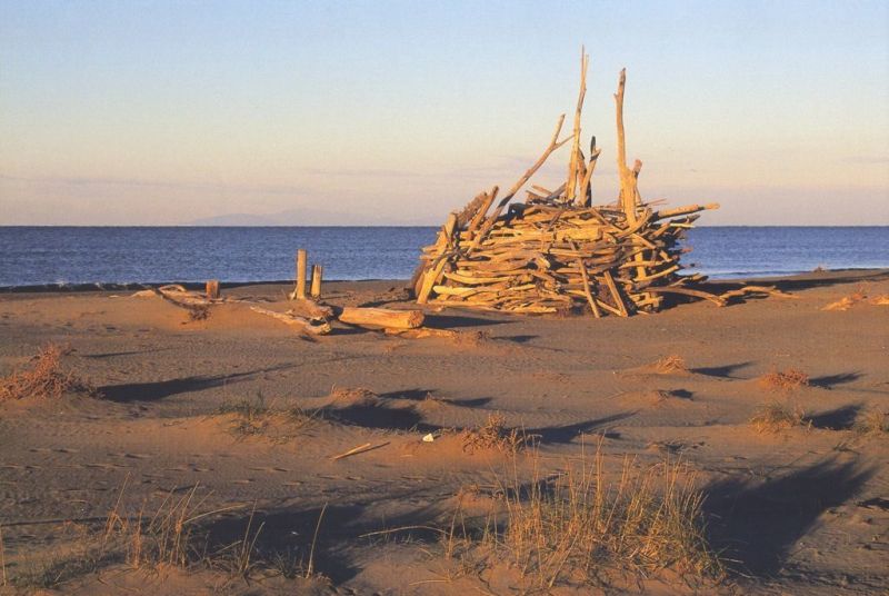 foto 7 Aluguer de frias entre particulares Principina a Mare studio Toscana Grosseto (provncia de) Praia