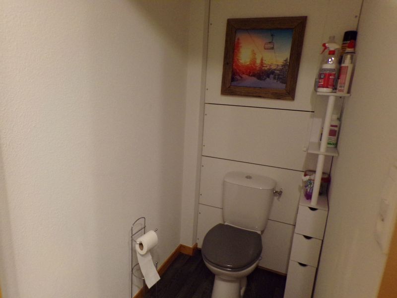 foto 29 Aluguer de frias entre particulares Thollon Les Mmises appartement Rdano-Alpes Alta Sabia WC separado