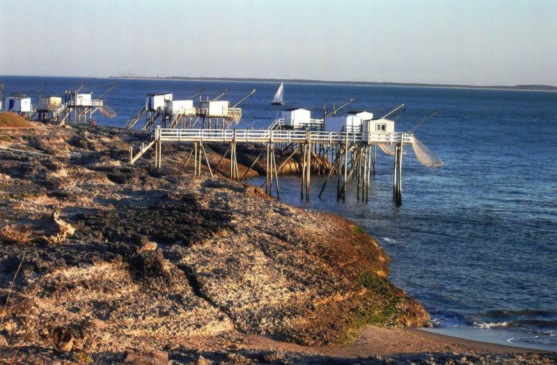 foto 9 Aluguer de frias entre particulares Saint Palais sur Mer studio Poitou-Charentes Charente-Maritime Vista dos arredores