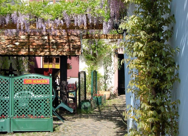 foto 6 Aluguer de férias entre particulares Ribeauvillé gite Alsácia Alto Reno Entrada