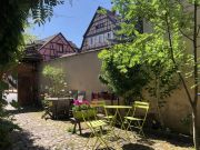 Aluguer frias Route Des Vins D'Alsace: gite n 124866