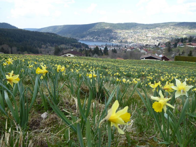 foto 18 Aluguer de férias entre particulares Gérardmer appartement Lorena Vosges Outras