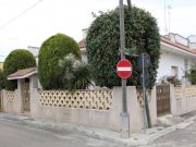 Aluguer casas frias Porto Cesareo: villa n 125037