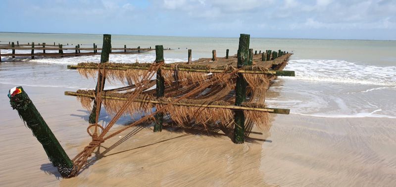 foto 24 Aluguer de férias entre particulares Saint Georges d'Oléron maison Poitou-Charentes Charente-Maritime Praia