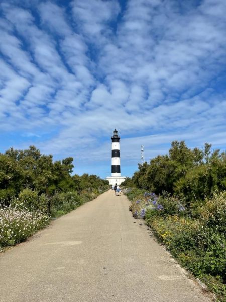 foto 20 Aluguer de férias entre particulares Saint Georges d'Oléron maison Poitou-Charentes Charente-Maritime