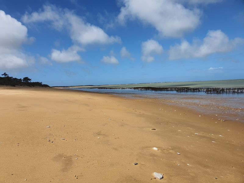 foto 23 Aluguer de férias entre particulares Saint Georges d'Oléron maison Poitou-Charentes Charente-Maritime Praia