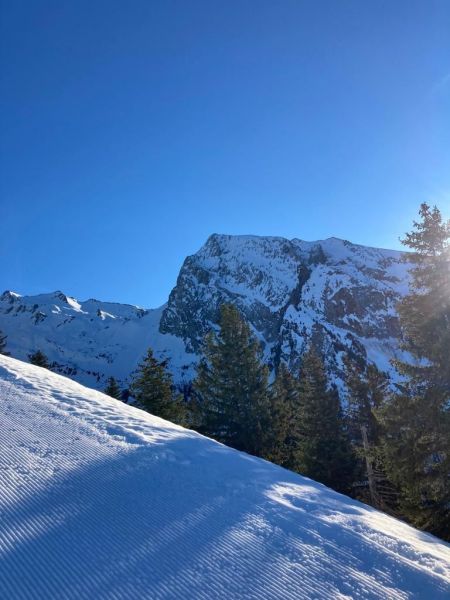 foto 16 Aluguer de frias entre particulares Manigod-Croix Fry/L'tale-Merdassier studio Rdano-Alpes Alta Sabia Vista dos arredores