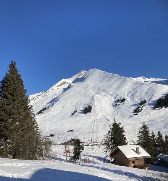 foto 18 Aluguer de frias entre particulares Manigod-Croix Fry/L'tale-Merdassier studio Rdano-Alpes Alta Sabia vista da varanda