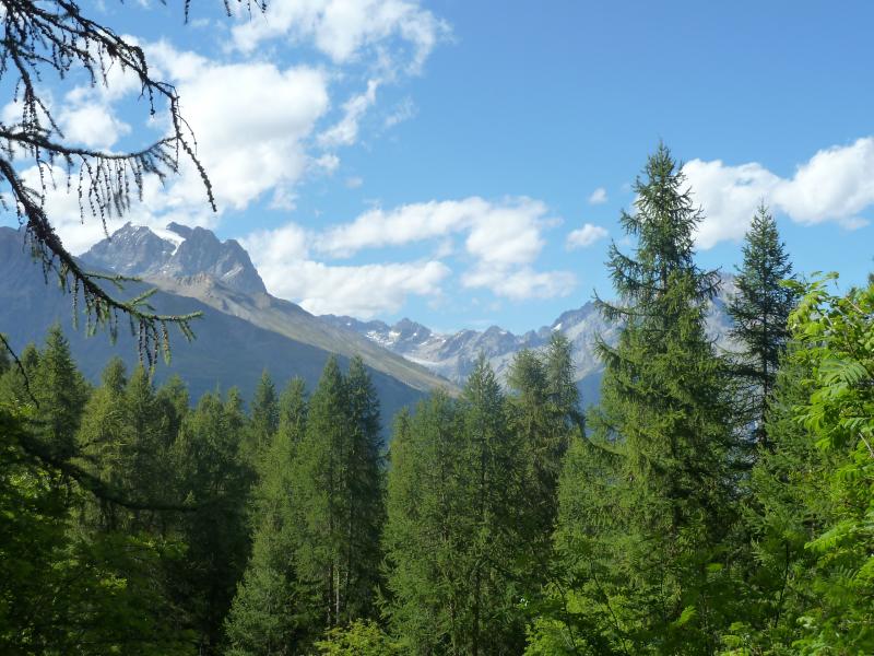 foto 16 Aluguer de frias entre particulares Puy Saint Vincent studio Provena-Alpes-Costa Azul Altos Alpes Vista dos arredores