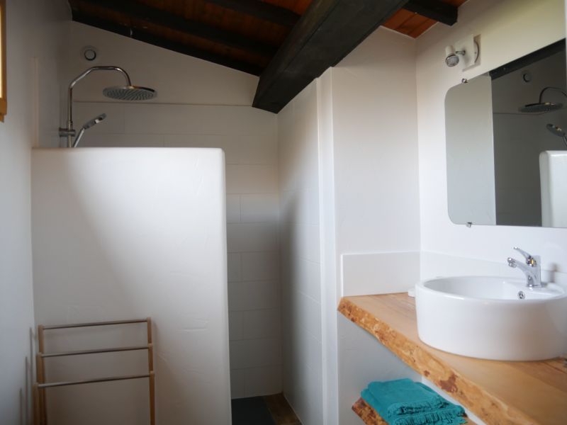 foto 13 Aluguer de frias entre particulares Narbonne gite Languedoc-Roussillon Aude casa de banho 2