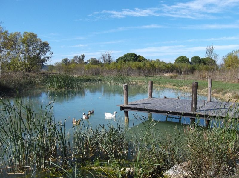 foto 28 Aluguer de frias entre particulares Narbonne gite Languedoc-Roussillon Aude Outras