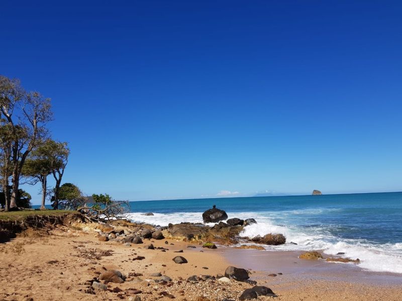 foto 20 Aluguer de férias entre particulares Deshaies gite Basse Terre